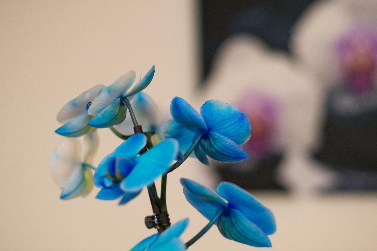 Hotel Art Písek Kültér fotó